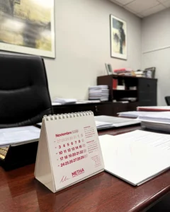 Despacho Director Metha Consulting